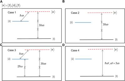 Steering thermal photoassociation of magnesium atoms by two time-delayed femtosecond laser pulses
